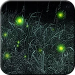 firefly trial android application logo